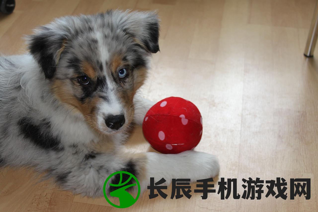 (英雄之城2还会上架吗知乎)英雄之城2，未来是否上架仍是未知数
