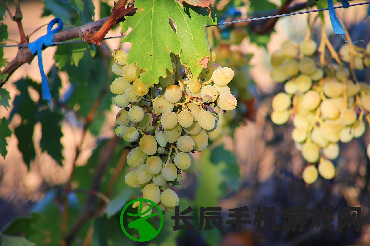 (兰岛物语攻略)兰岛物语复刻版与米洛，重温经典，探索新篇章