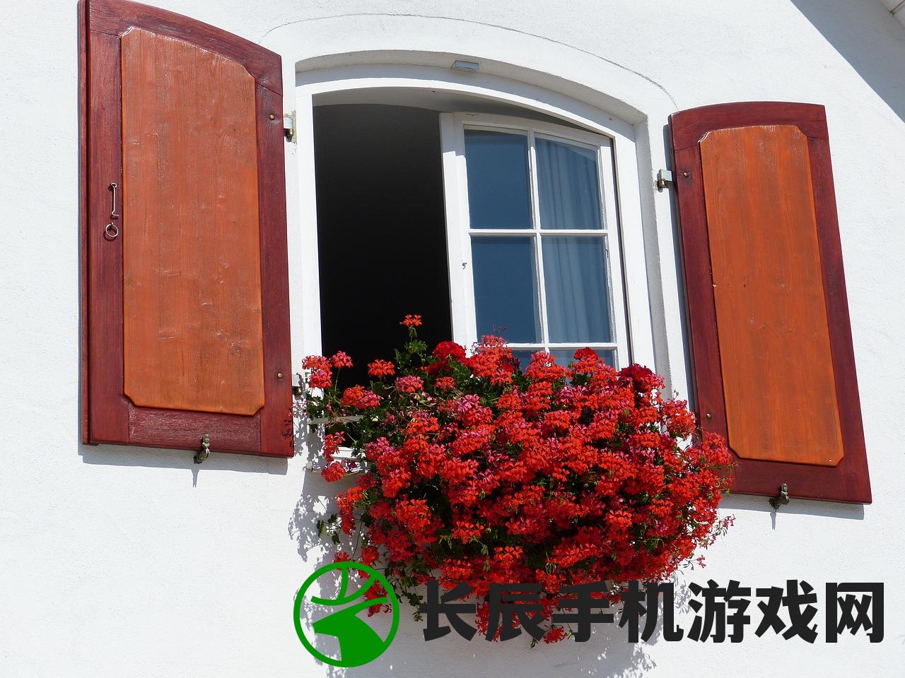 净化空气的室内盆栽植物有哪些？最适合放在家中的5种空气净化植物