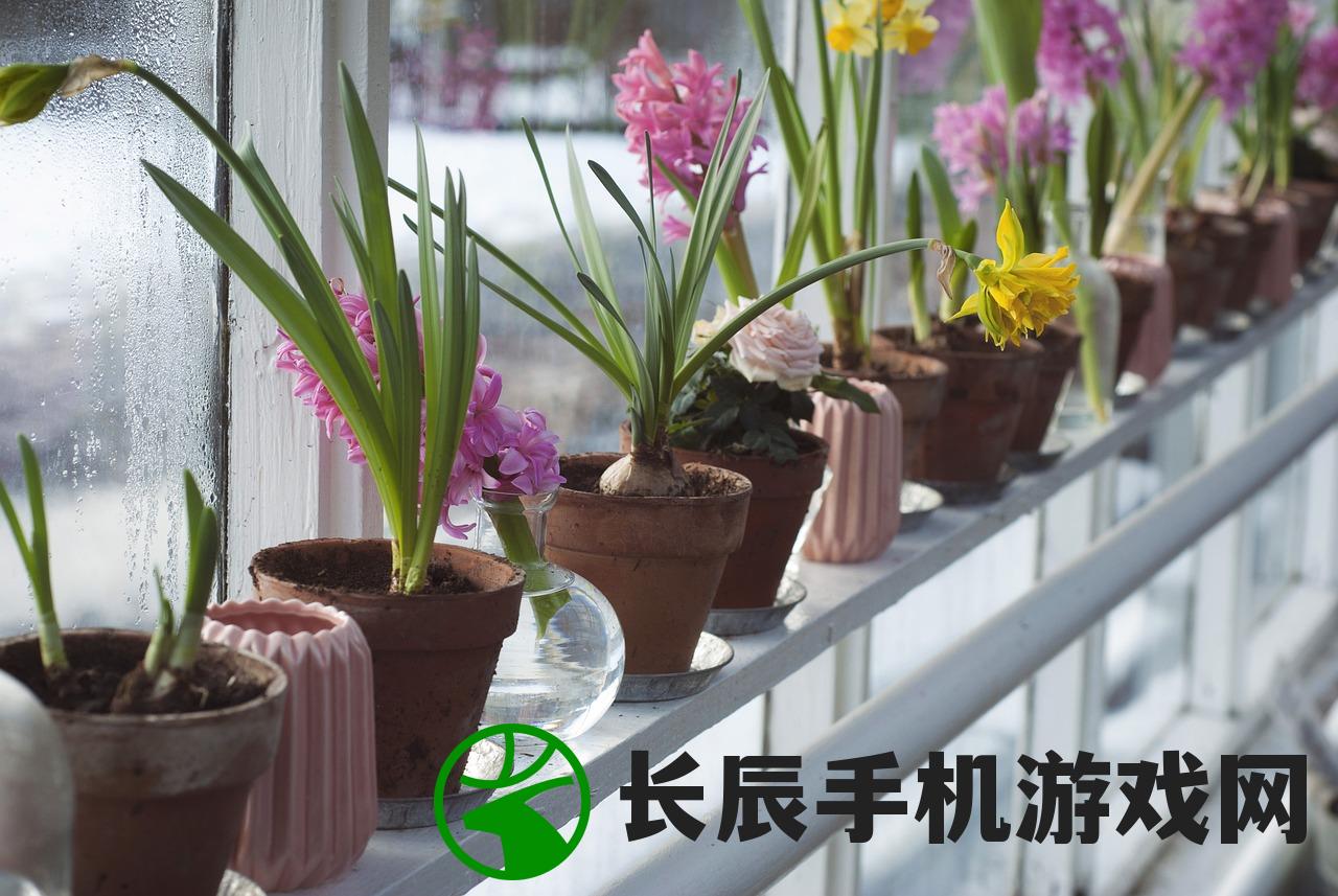 净化空气的室内盆栽植物有哪些？最适合放在家中的5种空气净化植物