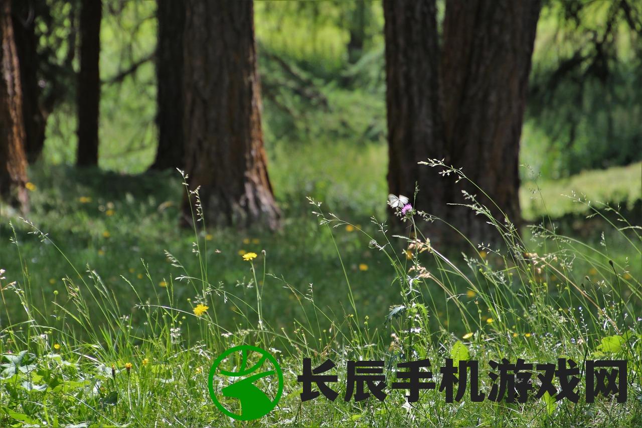 帮萧岩冲破千年修为攻略：30个绝密技巧助力修行大突破