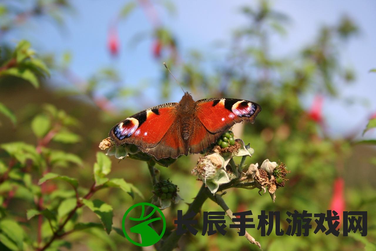 (至尊传说能赚钱吗)至尊传说副职业的功能与意义解析