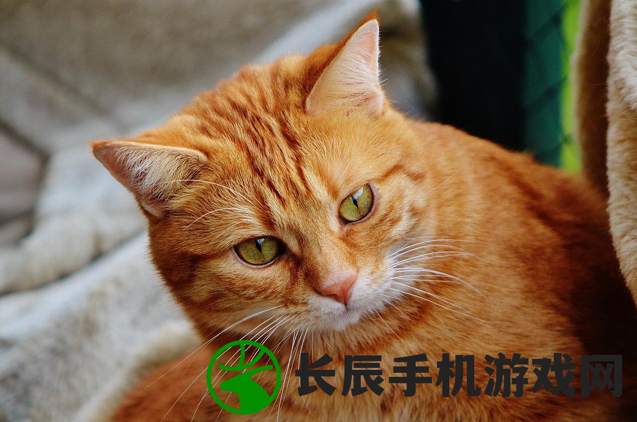(乾坤战纪百度百科人物介绍)乾坤战纪，一款引领时代的游戏传奇