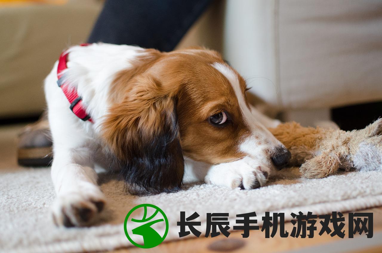 (落神之地天赋加点详细攻略图)落神之地天赋加点详细攻略
