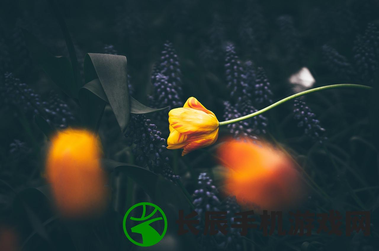 (仙灵觉醒手游qq版下载安装)仙灵觉醒手游QQ版，深度探索与常见问题解答