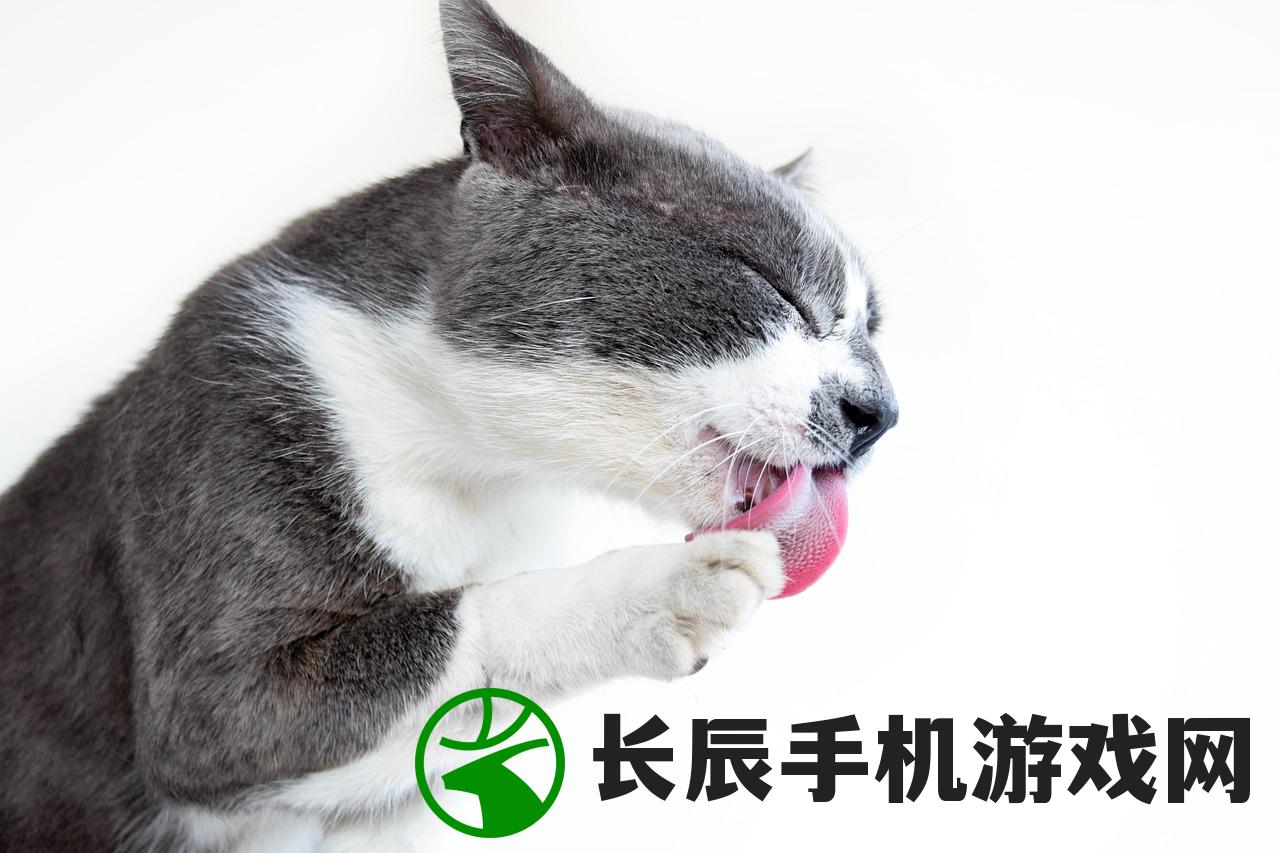 (迷你城市百科全书)迷你城市百科，探索微型城市的无限魅力与知识