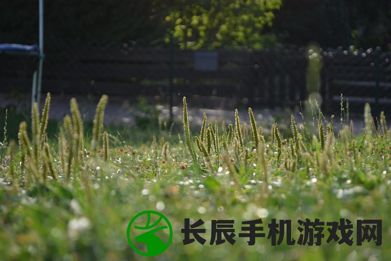 (乱失落之岛手游v1.1 安卓版下载for android)乱失落之岛手游，探索未知的冒险之旅