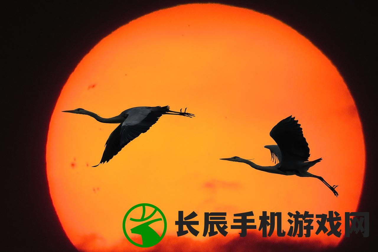 (阿玛迪斯战记流程攻略)阿玛迪斯战记全面攻略秘籍与FAQ解答