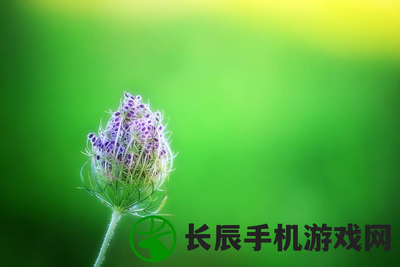 2004新澳门天天开好彩大全地址|探索语言中动态词汇的意义_移动版Timi.8.248