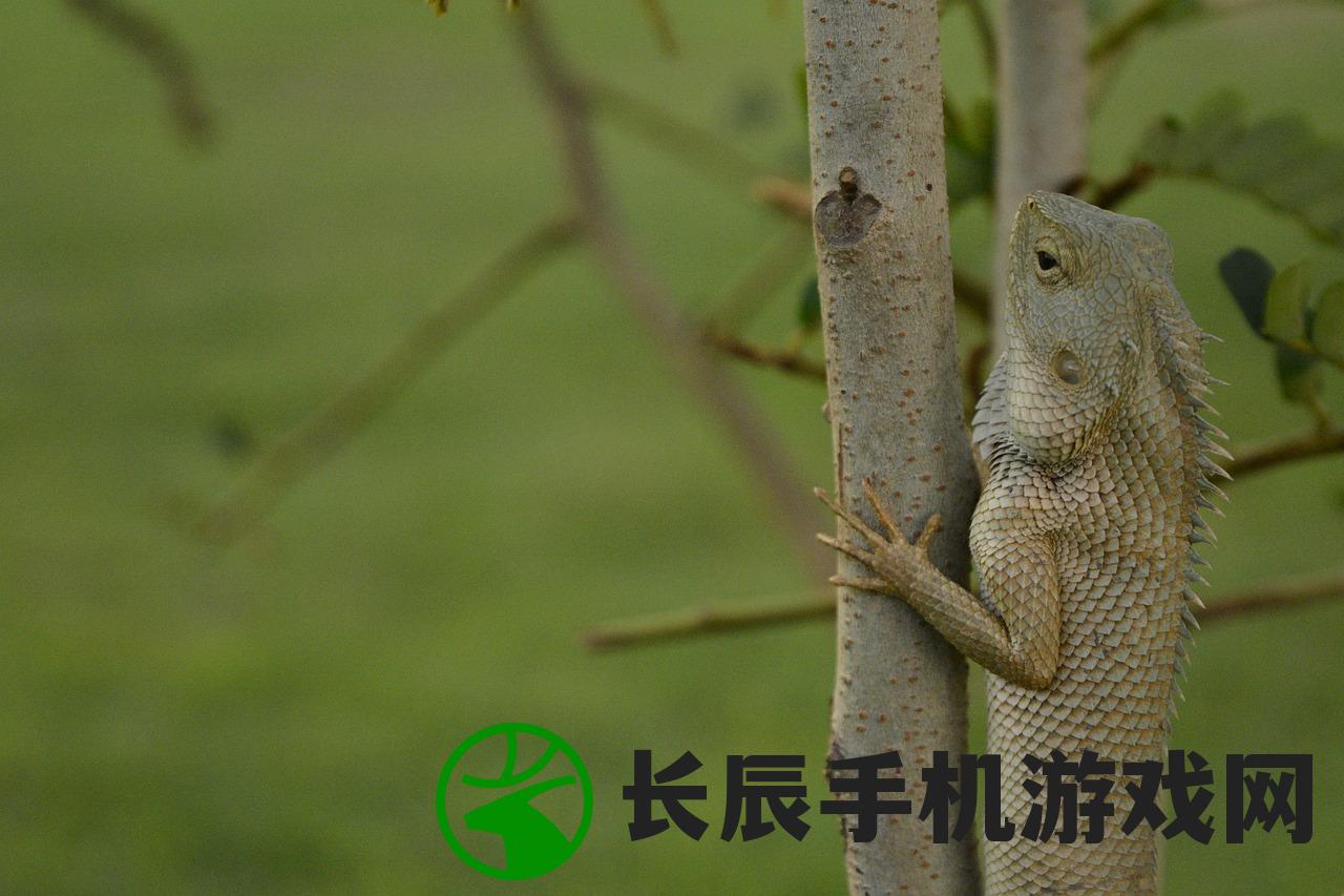 (复古英雄版英雄合击下载)复古英雄版英雄合击，重温经典，再燃战火