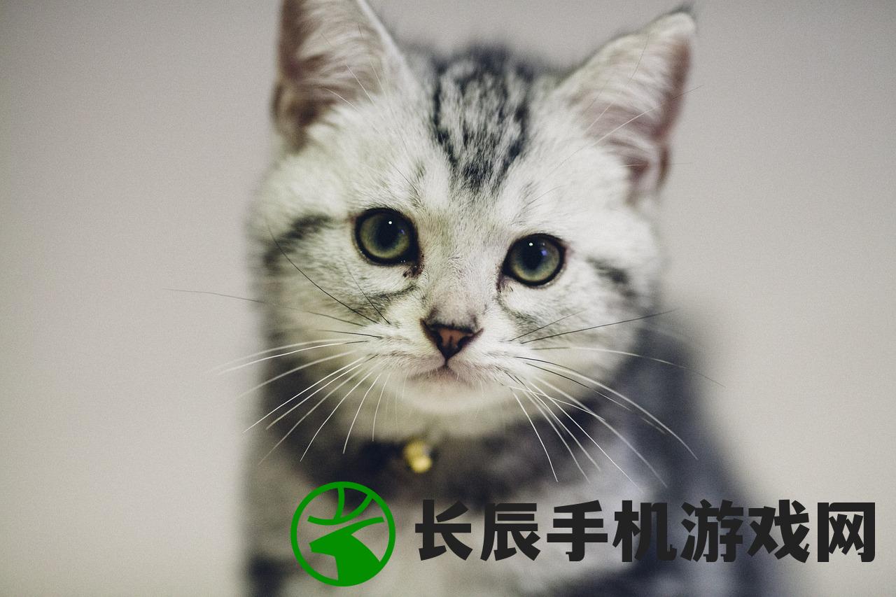 (符文王者游戏)符文王者传奇福利激活码大全及常见问题解答