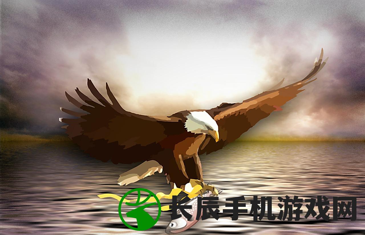 (侍魂晓基本操作)深入解析侍魂晓的操作机制