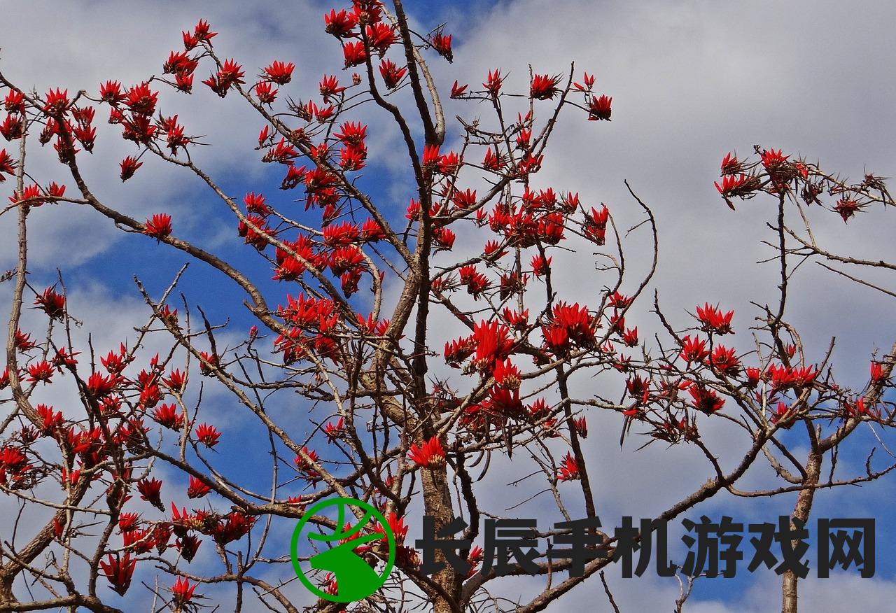(仙剑中蜀山历届掌门人)仙剑奇侠传蜀山第一代掌门，传奇人物与蜀山剑派的崛起