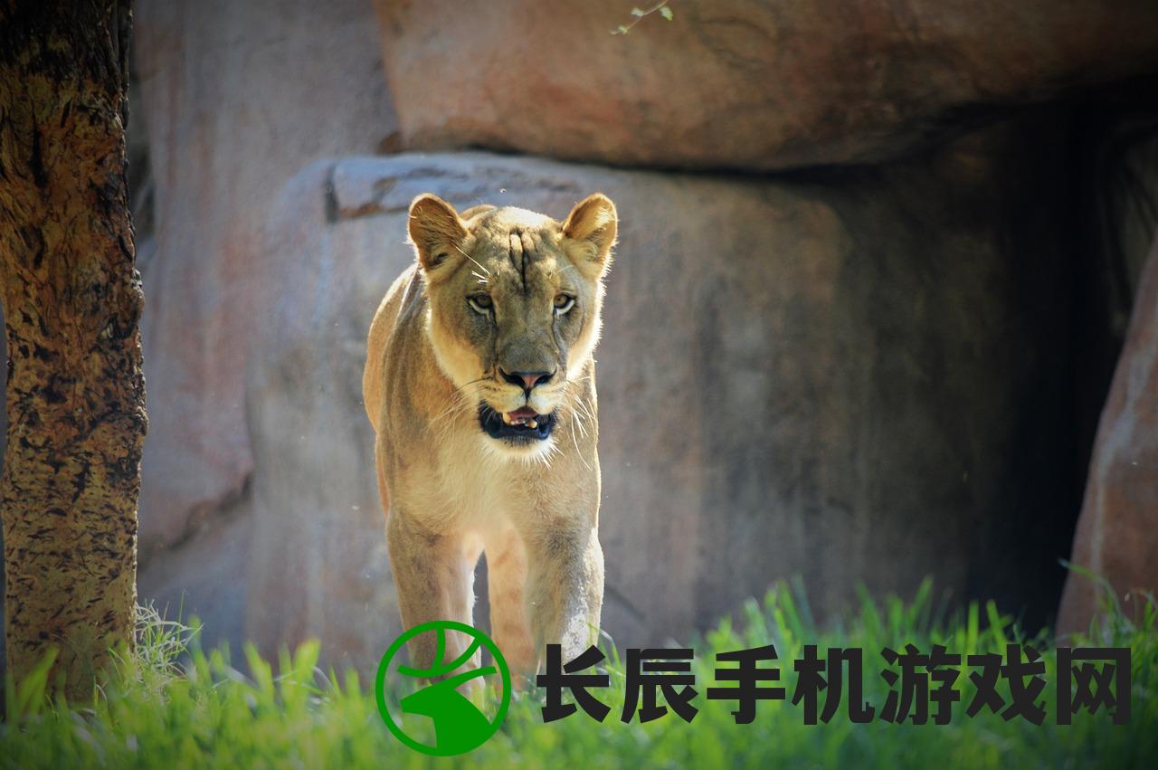 (江南首富模拟器吧)江南首富模拟器，不减反增现象深度解析