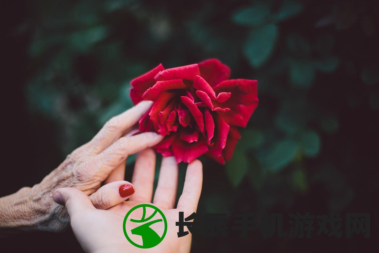 (坦界闪击战网易正版下载最新版本)坦界闪击战，网易正版的多维解析与常见问题解答