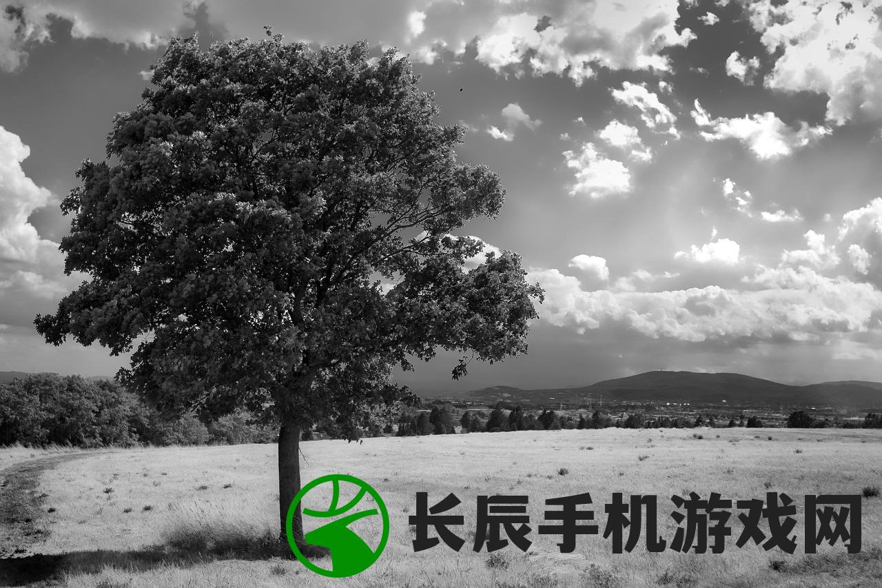 (小鸟爱飞翔攻略图)小鸟爱飞翔攻略，掌握飞翔的诀窍与乐趣