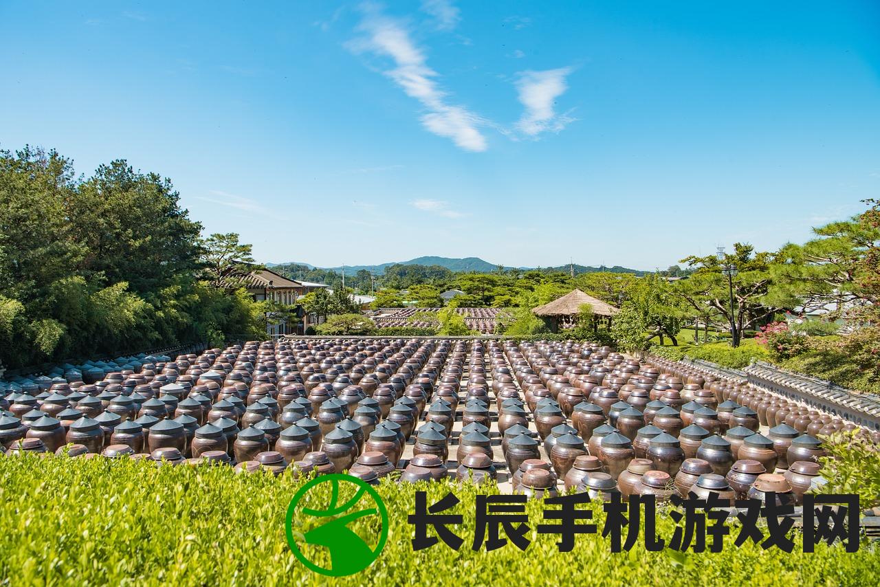 (三国大作战阵容攻略)三国大作战全面攻略，战略、角色与常见问题解答