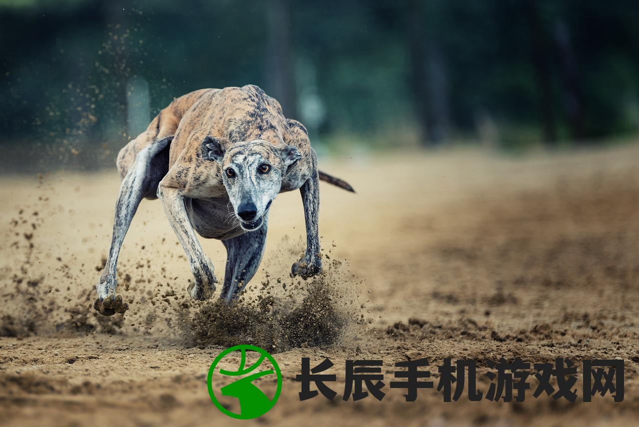 (惊天动地电影演员表)惊天动地演员表介绍及深度分析