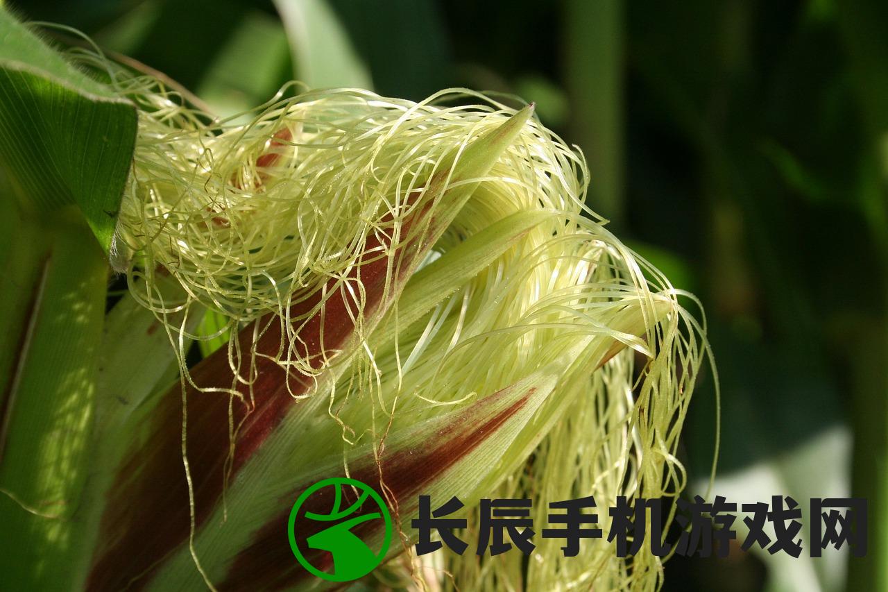 (幻兽契约攻略)幻兽契约Wiki图鉴，深入解析与常见问答