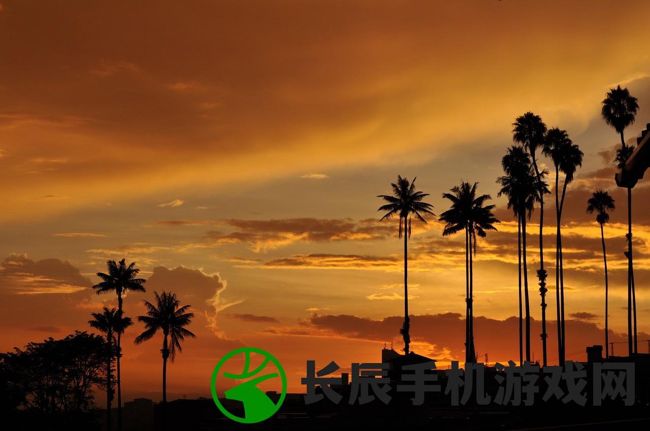 (大征服者罗马埃提乌斯算金将吗)大征服者罗马埃提乌斯，战略巨擘的传奇人生