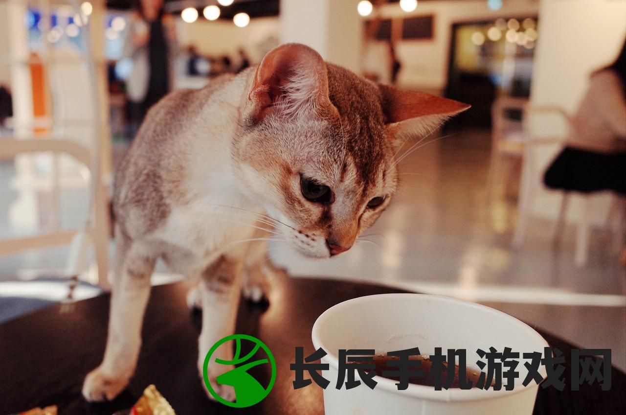 (奇点游戏攻略)奇点攻略秘籍大全，探索未知，征服难关