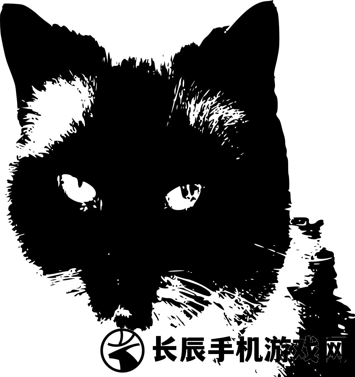 (黑色是用哪两种颜色调出来的)黑色涂成黑色正确答案：如何区分不同黑色调的专业技巧分享