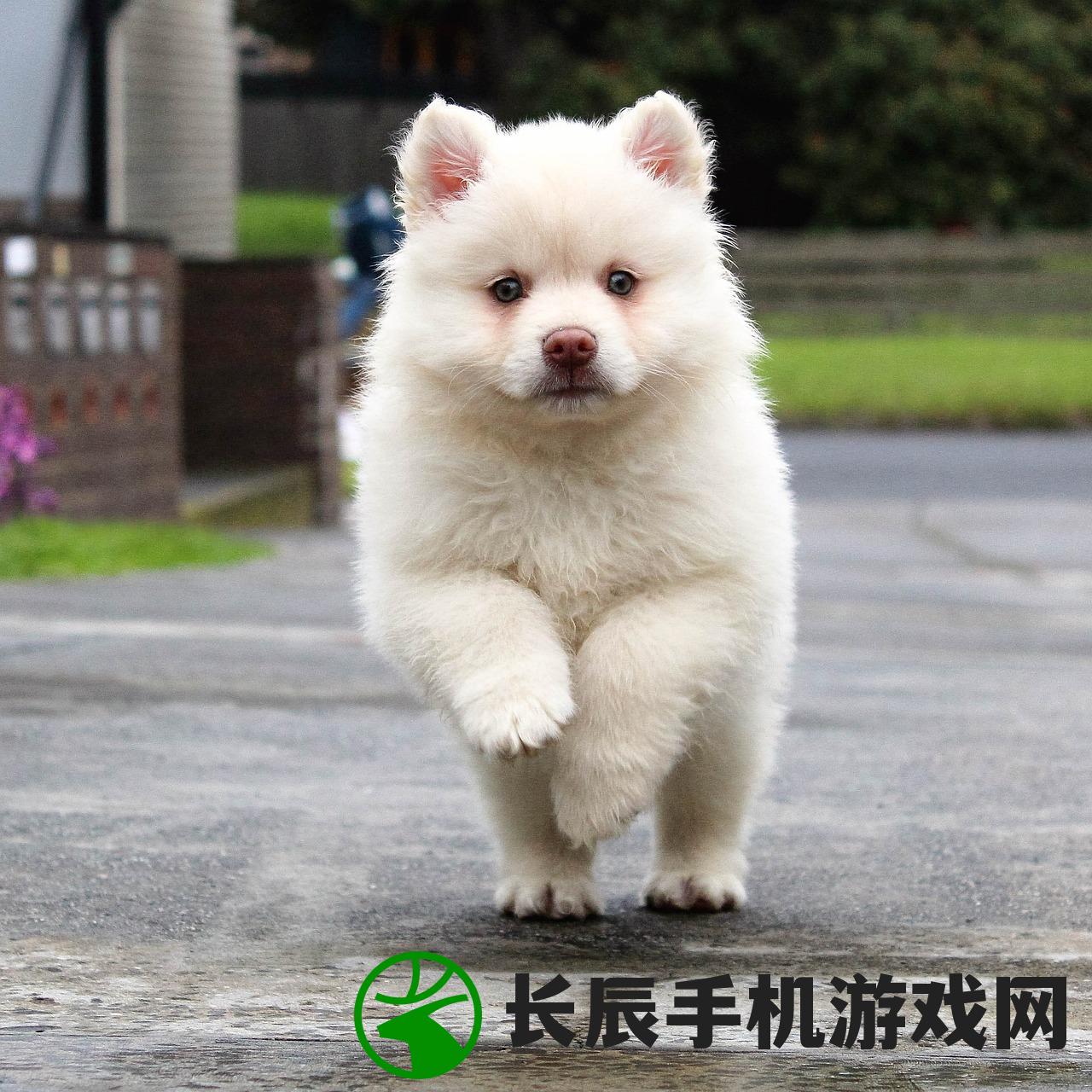 (凡人修仙传(无限仙充卡))凡人修仙重开录，无限点数版，探索修仙新纪元
