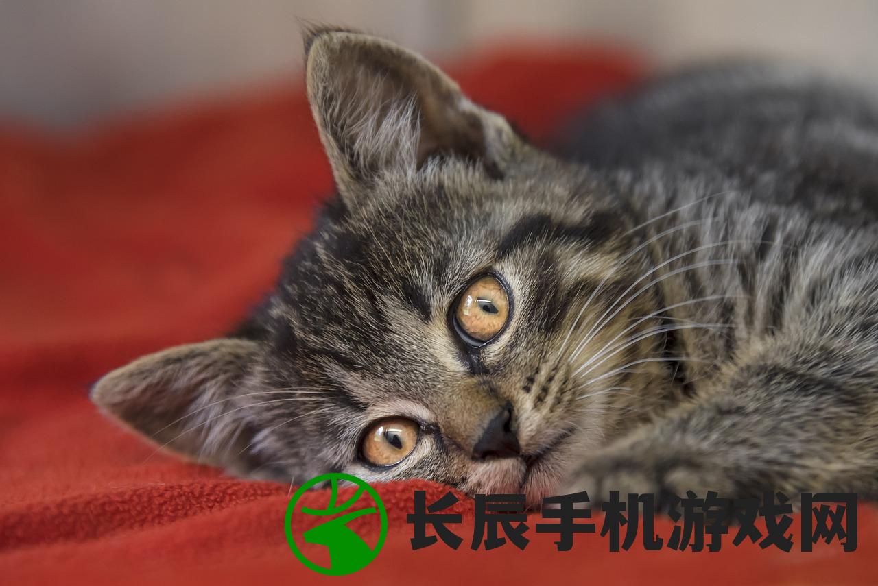 (wey赛博版)WEY赛博，探索未来出行的智能新纪元