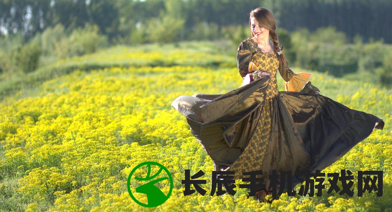 (轩辕剑剑之源满v版)轩辕剑剑之源盗版问题深度探讨