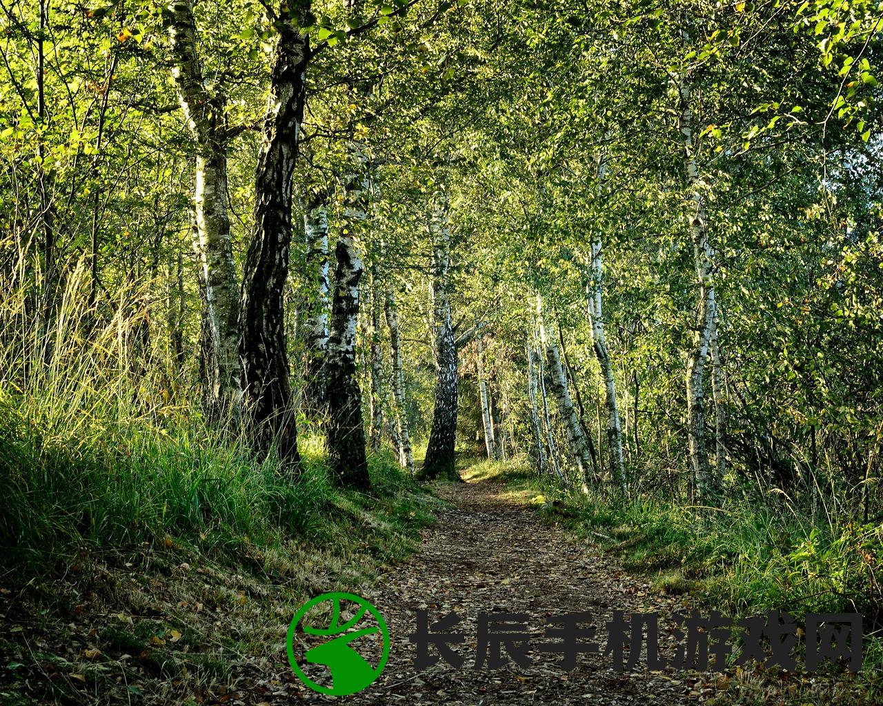 (指环王崛起之战手游下载)指环王崛起之战手游,深入探索与策略指南