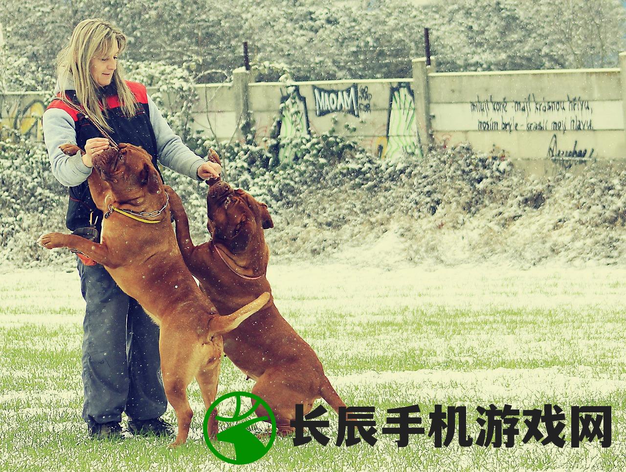 (蛋国志为什么停服)蛋国志的新名称及其背后的变迁
