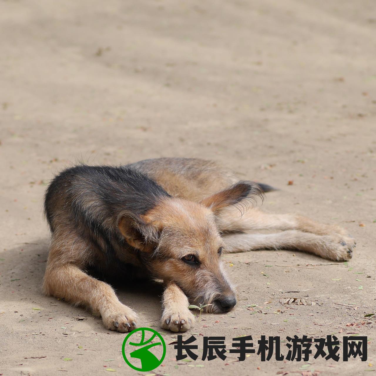 (传奇王者霸业手游攻略)传奇王者霸业手游，探索王者之路，领略霸业风采