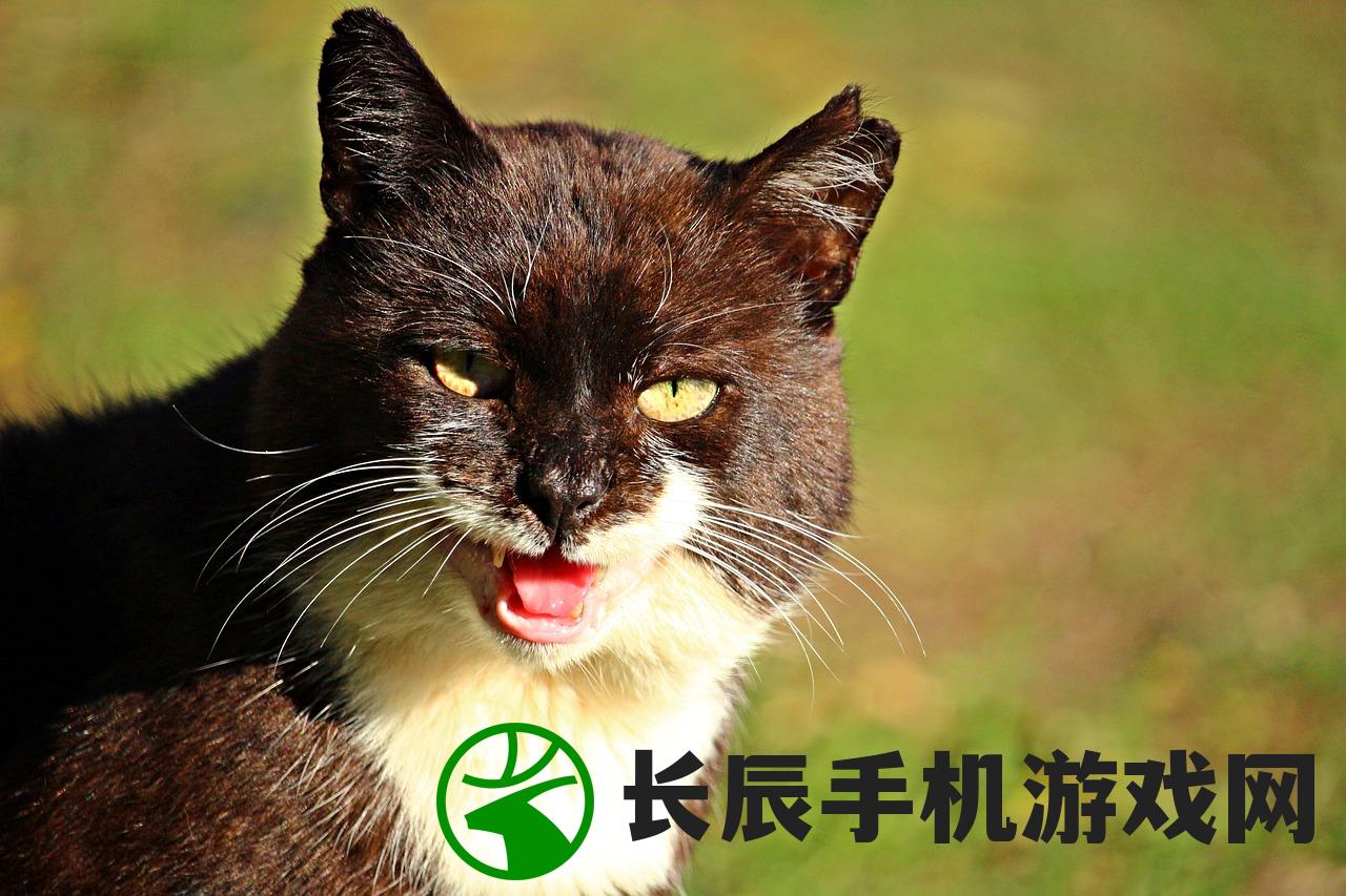 (9377手游平台白蛇传奇下载)关于9377手游平台的深度解析与常见问题解答