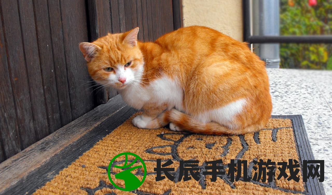 (虐杀原形攻略中文解说)虐杀原形攻略中文解说及常见问答解析