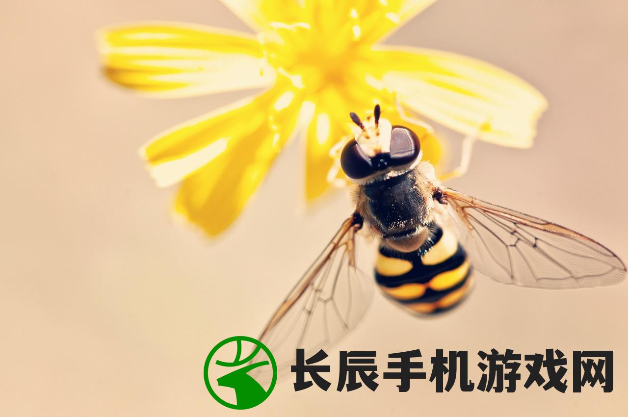 (小小军团合战三国破解版无限元宝)小小军团合战三国，策略与英雄的舞台