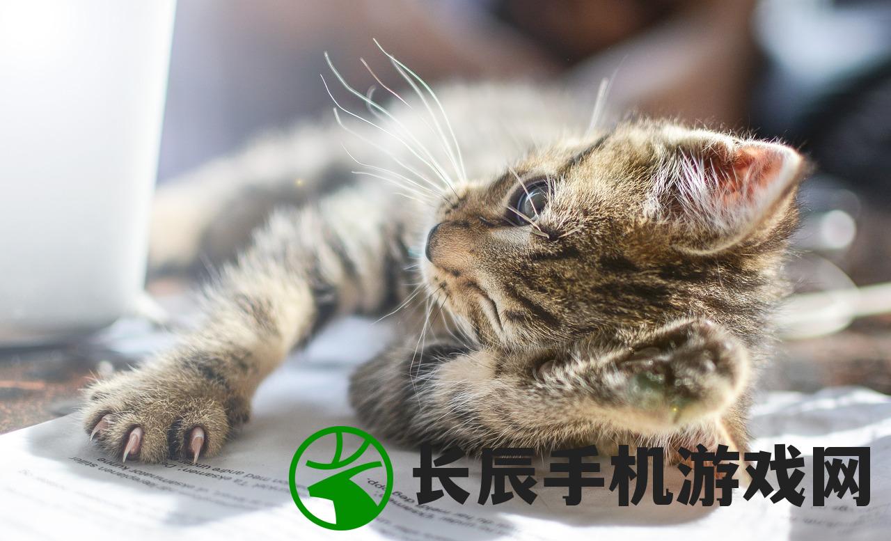 (蜀山仙途手游3.35.1)蜀山仙途手游，探索奇幻仙侠世界的无尽魅力