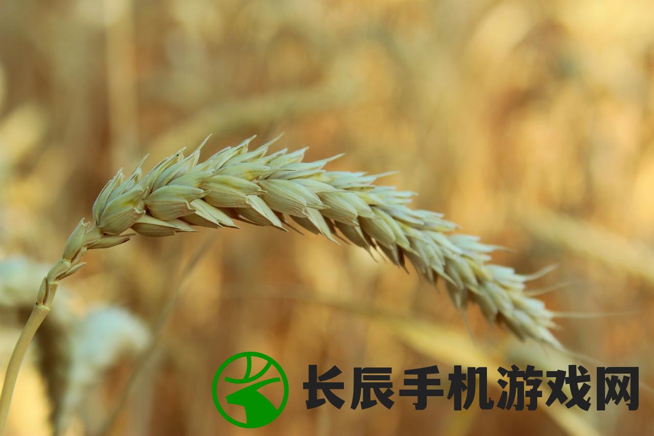 (第四纪元事件)第四纪元阵容搭配攻略,打造无敌战队