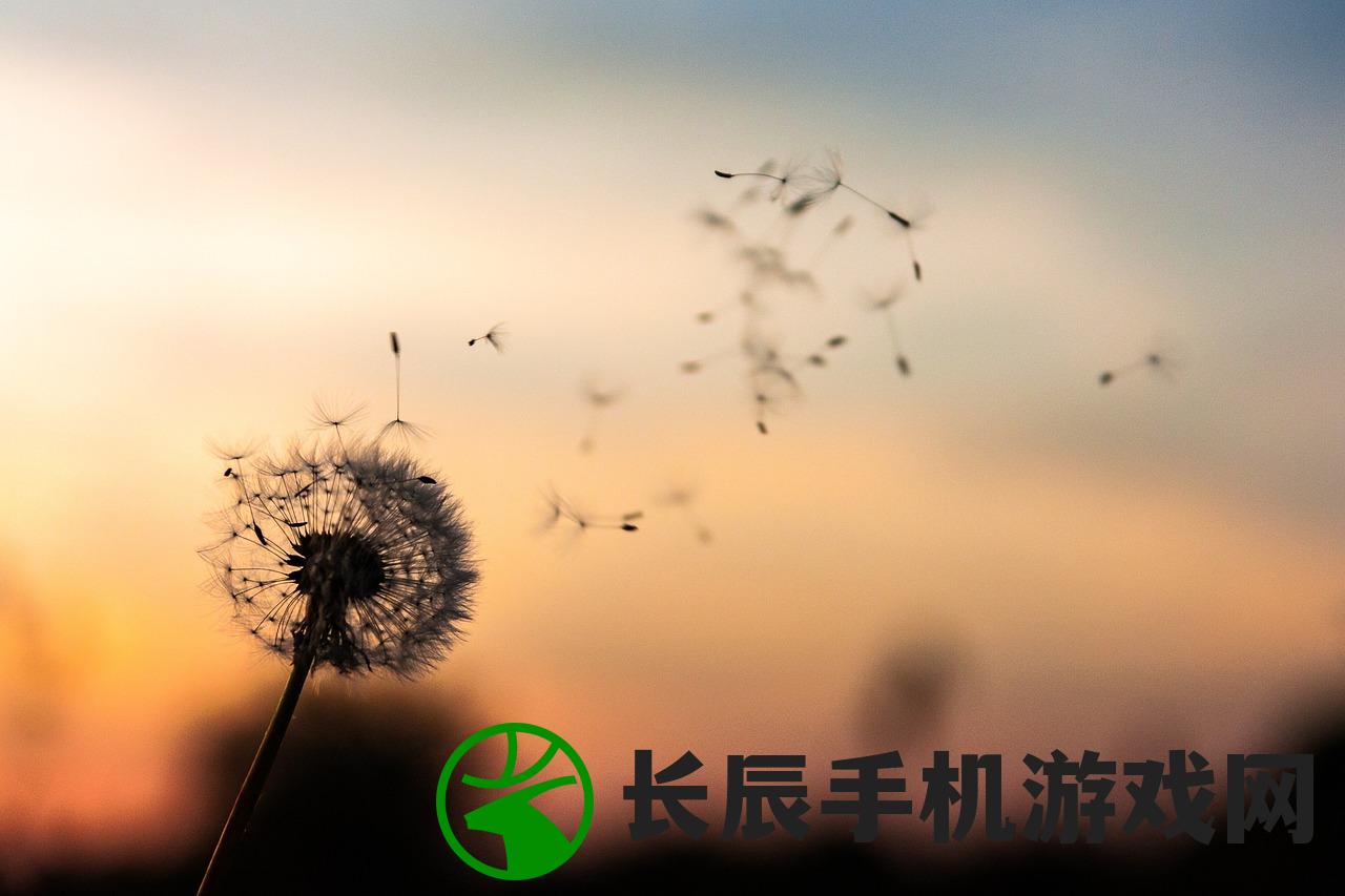 (手工星球怎么做橡皮泥)手工星球怎么做，从入门到精通的全方位指南