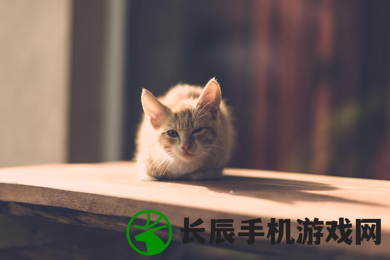 (飞越13号房攻略大全)飞越13号房游戏攻略大全及常见问答（FAQ）