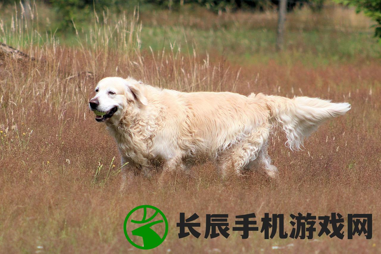 (小酒馆的活动)小酒馆活动策划与执行指南，如何打造一场成功的活动？