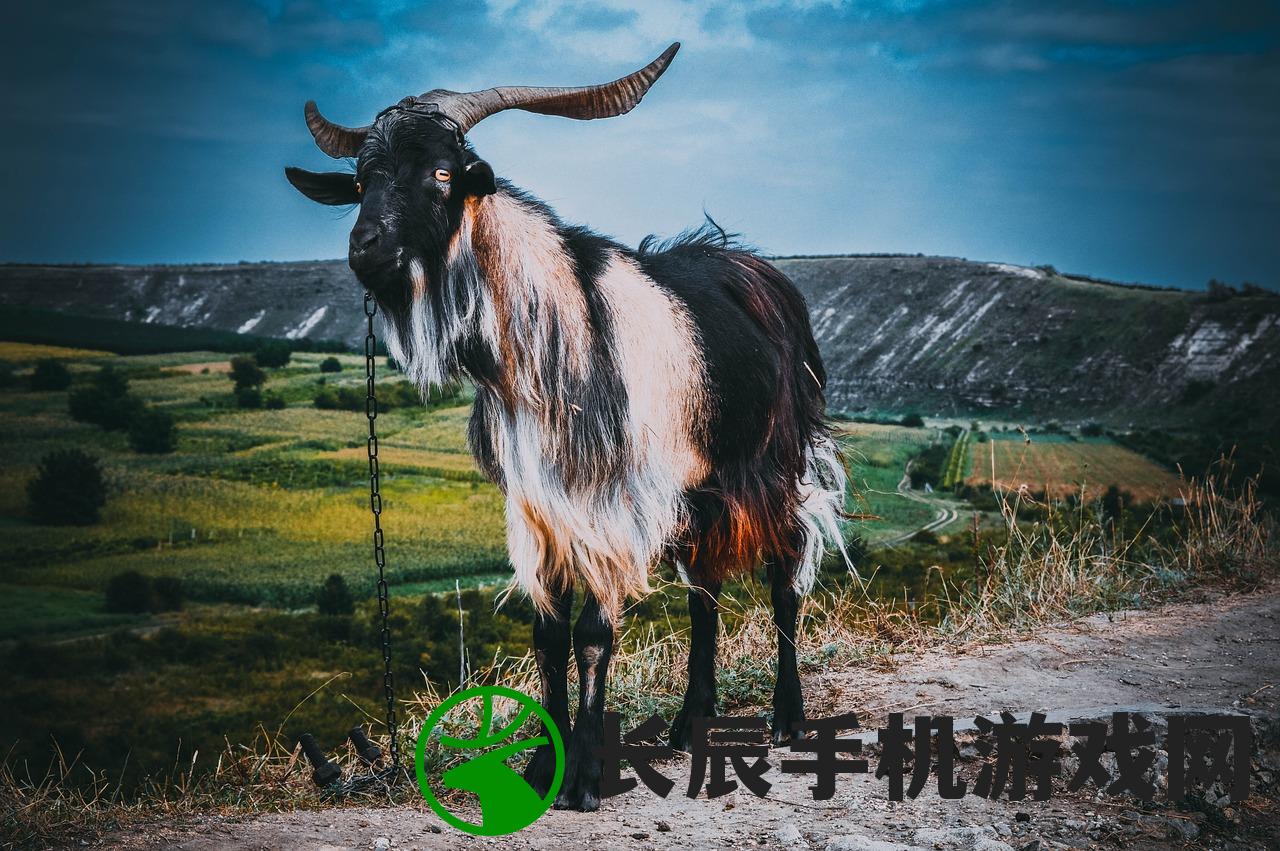 (太阳风暴是什么?)太阳风计划为何终止，原因探究与未来展望