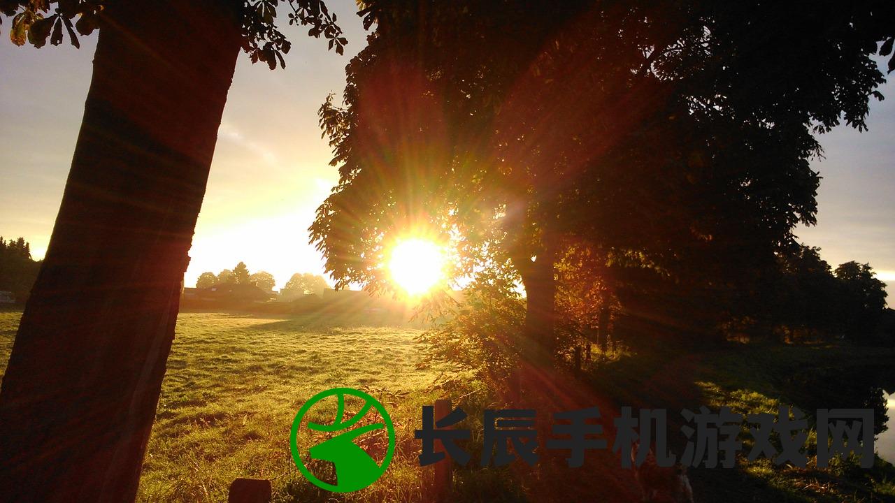 (龙神魔帝全文阅读)龙神魔帝，神秘力量的探索与解析