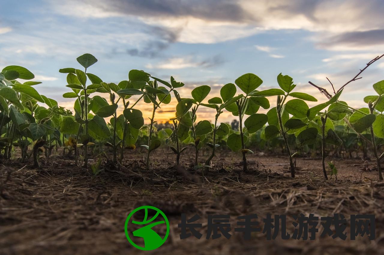 (我对修仙真没兴趣手游)我对修真无兴趣,内置修改器的多维度解析与挑战