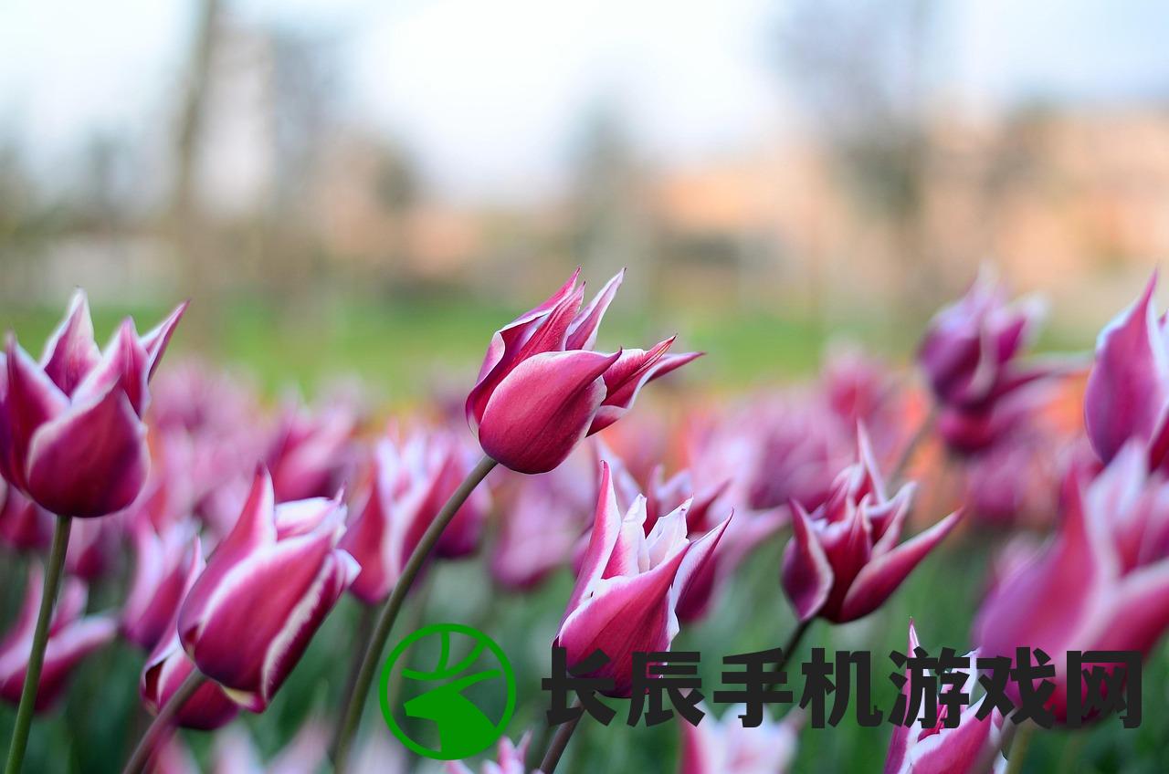 (602龙脉传奇手游最新版本更新内容)602龙脉传奇手游，探索神秘世界的奇幻之旅