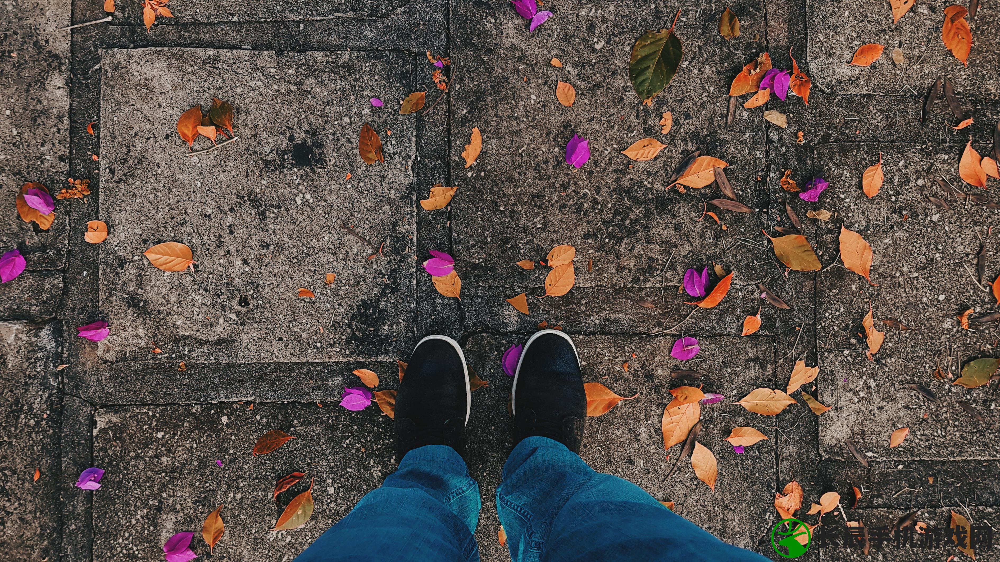 (风之旅团好玩吗)风之旅团新版命名揭秘,探索未知之旅的全新篇章 (风之旅团好玩吗)风之旅团新版命名揭秘,探索未知之旅的全新篇章