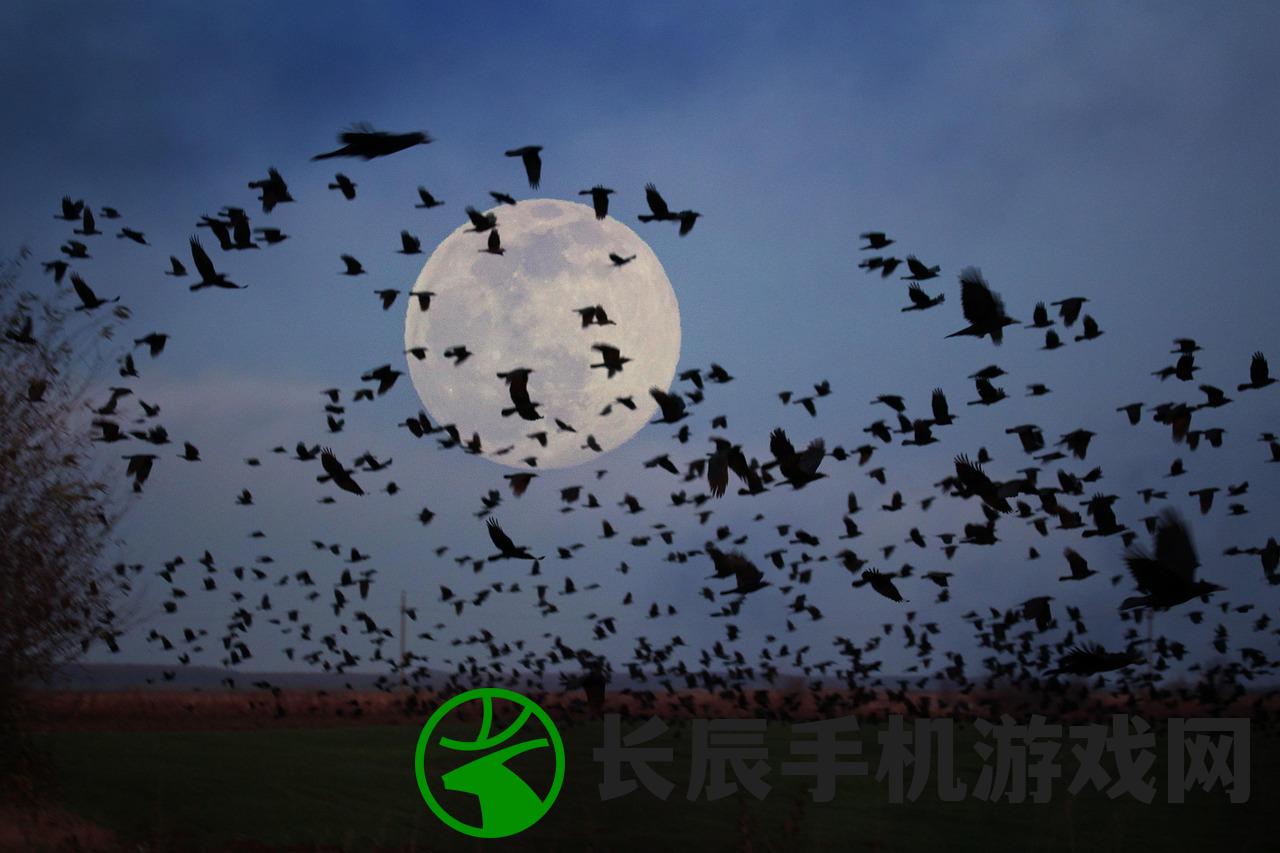 (仙境传说官服有自动拾取吗)仙境传说官服，探索游戏世界的独特魅力