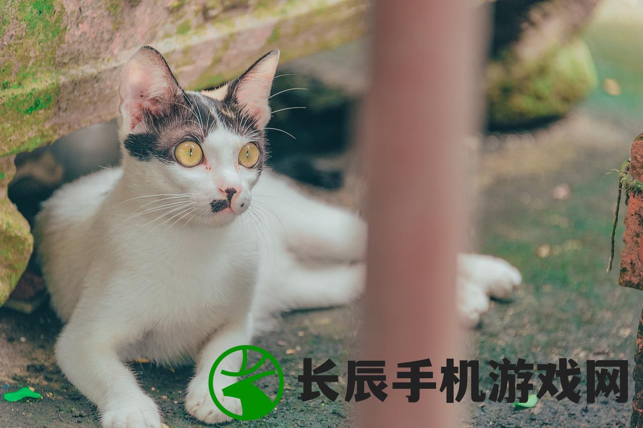 (守望黎明防守兵种怎么布置)守望黎明，英雄防守策略下的少带兵智慧