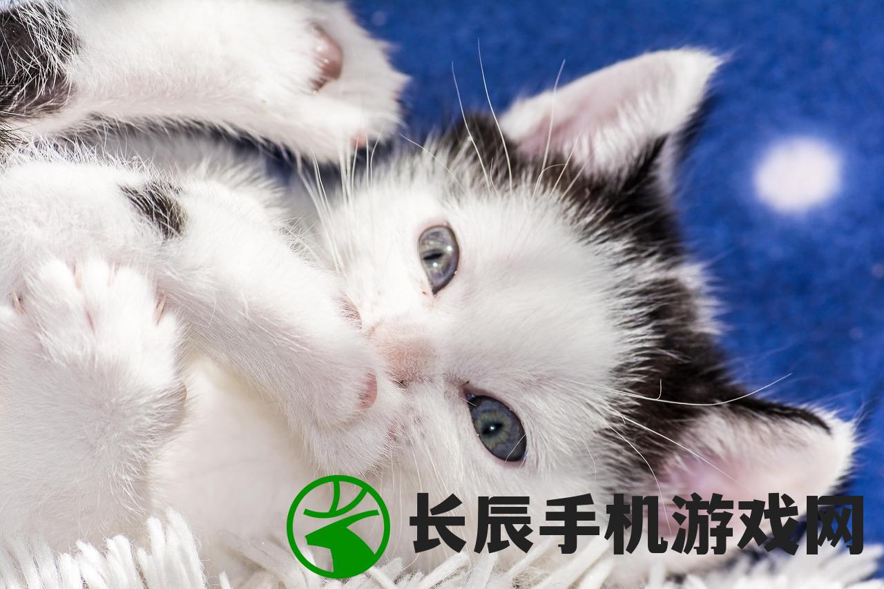 (航海日记2攻略)航海日记2，揭秘最暴利的航线传奇