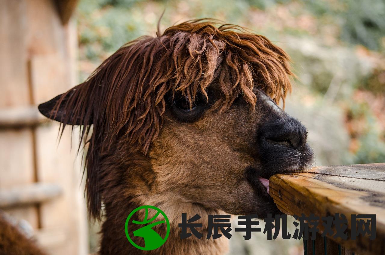 (妖灵日记游戏怎么玩)妖灵日记游戏，奇幻探险之旅的深入解析