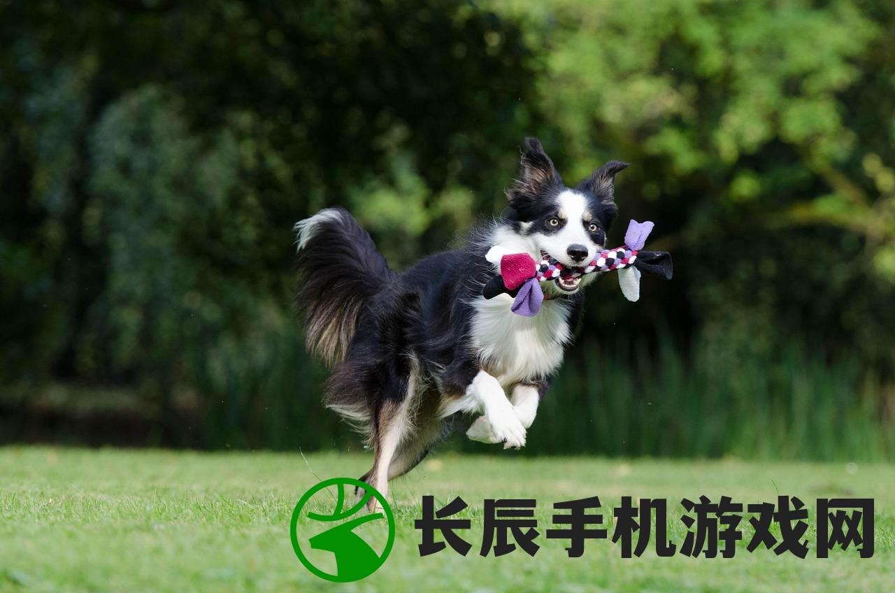 (咕噜饰演者)基于咕噜原型的深度解析与探讨
